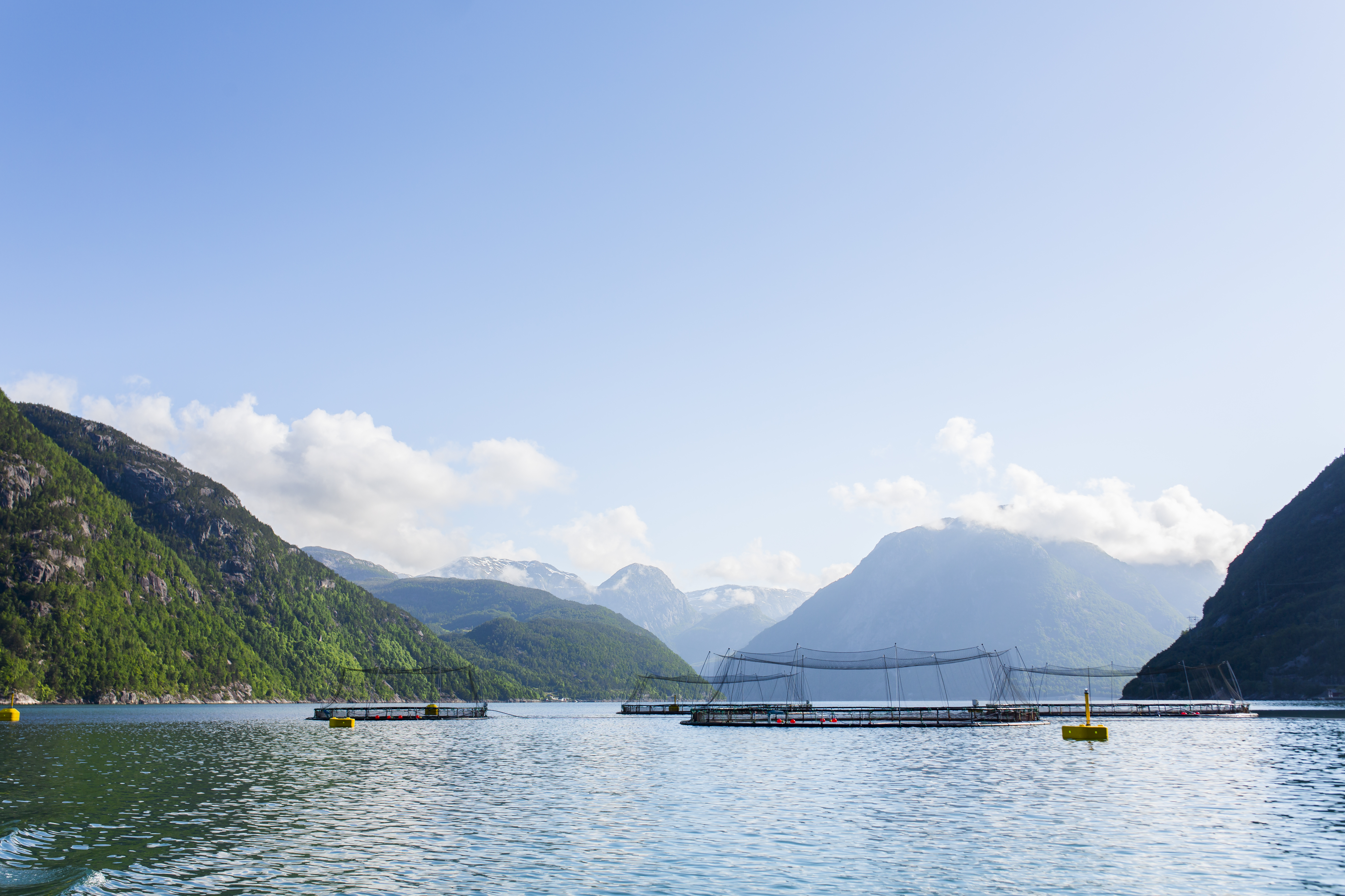 Havbruksannlegg ved fjord og fjell