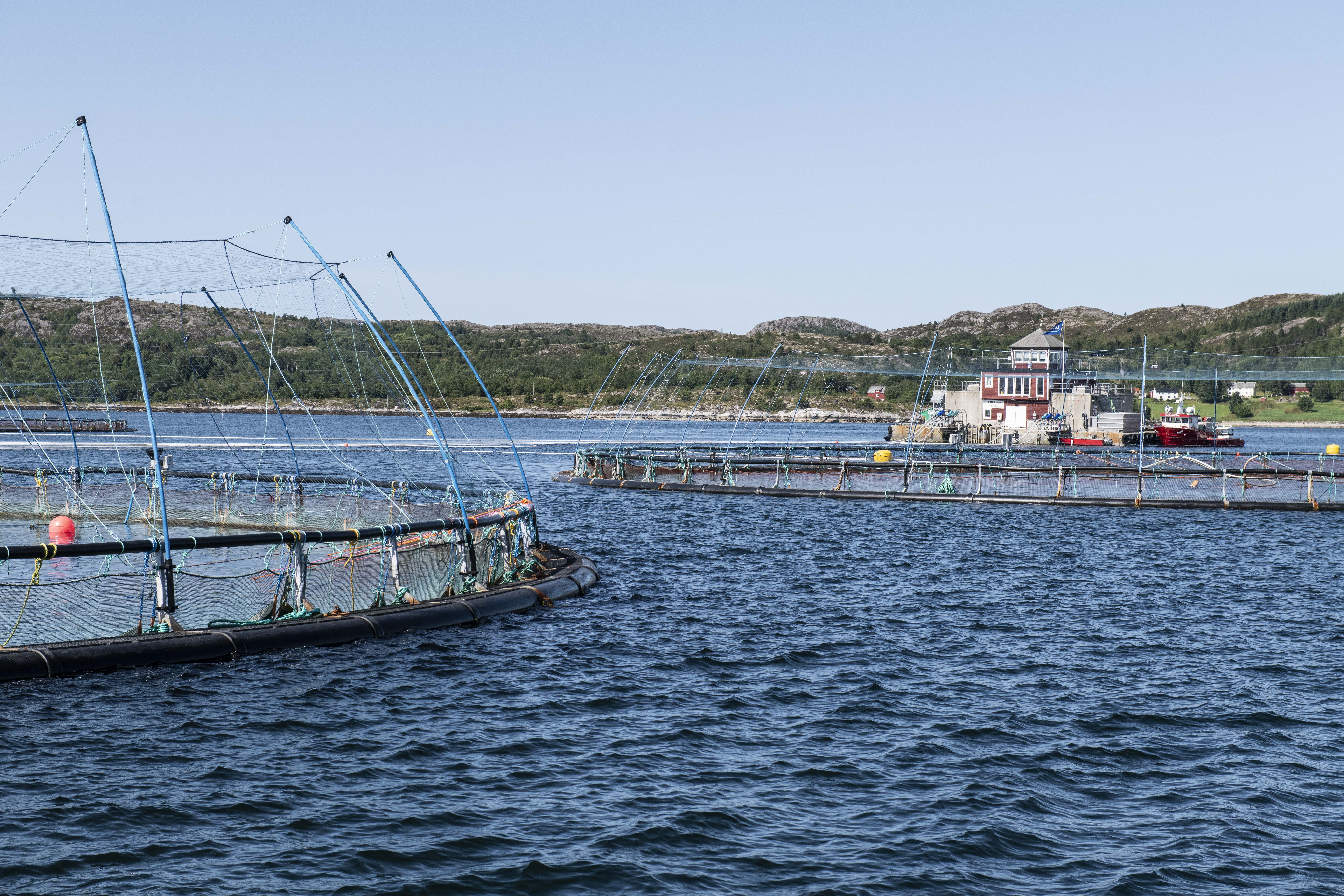Fish cages in the sea